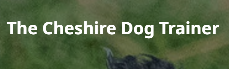the cheshire dog