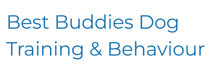 best buddies