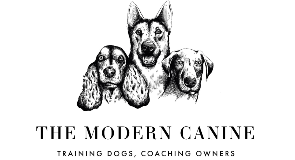 themoderncanine