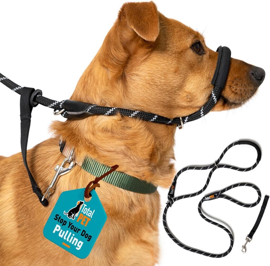 figure of 8 dog collar figure of 8 dog collar or lead on orange dog
