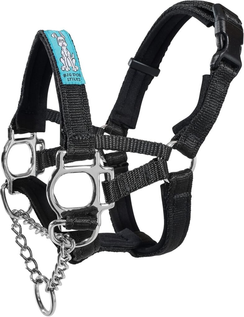 head dog collars head dog collar