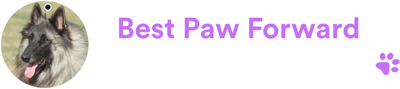 logo.0439909b
