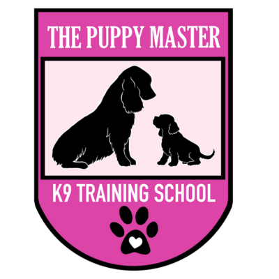 Untitled design - 2025-09-01T171440.870 the puppy master