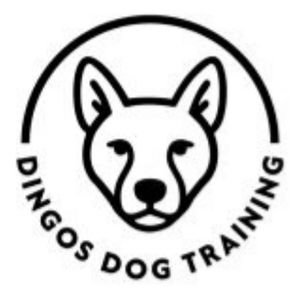 Dingos Dog Training Dingos Dog Training