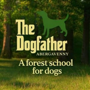 Forest School for dogs