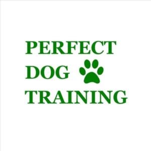 Perfect Dog Training and Behaviourist