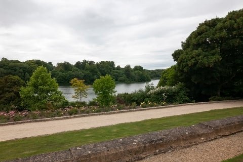Blenheim palace grounds, trees and a path