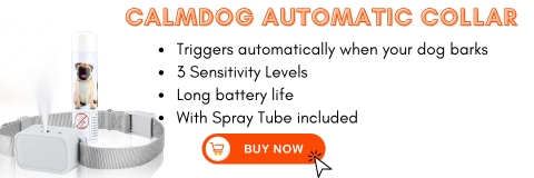 automatic citronella spray