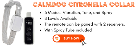 vibrating dog collar