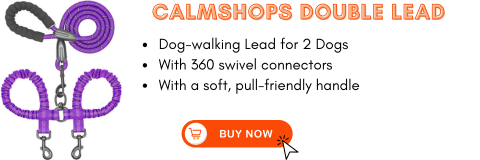 double lead for two dogs