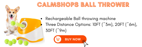 indoor ball thrower for dogs