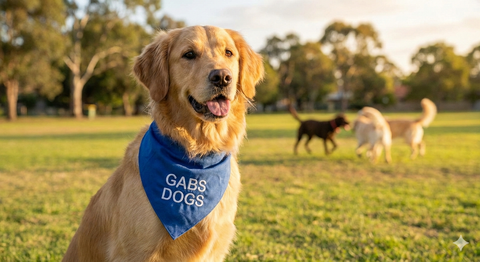 Gabs Dogs Birmingham