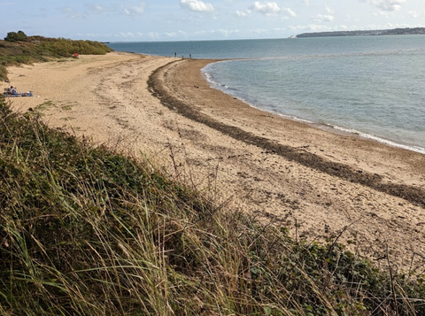 lepe country park