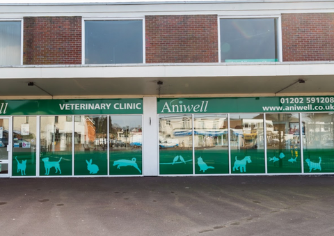 Aniwell Veterinary Clinic - Bournemouth