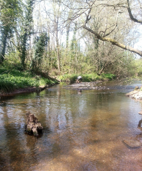 Arrow Valley Country Park