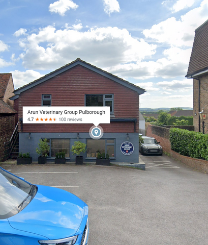 Arun Veterinary Group - Pulborough