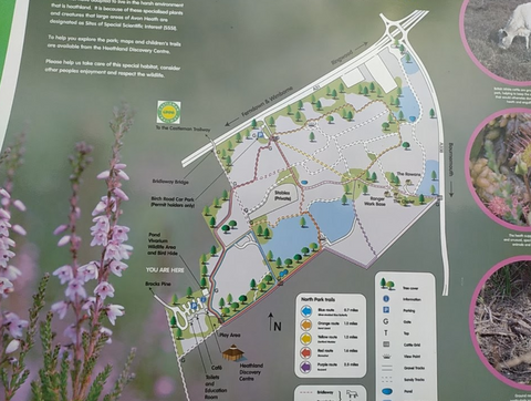 avon heath country park