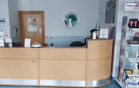 Avonvale Veterinary Centres - Warwick