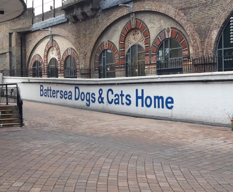 Battersea Dogs and Cats Home Veterinary Clinic 4.5⭐️