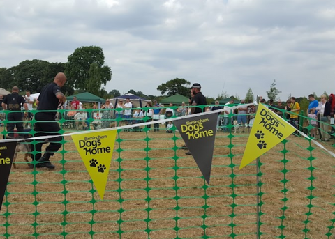 Birmingham Dogs Home
