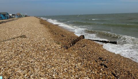 calshot beach