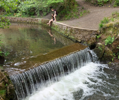 Forest of Dean - Cannop Ponds