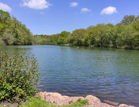 Forest of Dean - Cannop Ponds