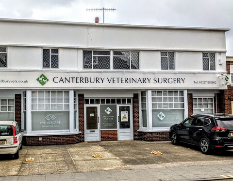 Canterbury Veterinary Surgery
