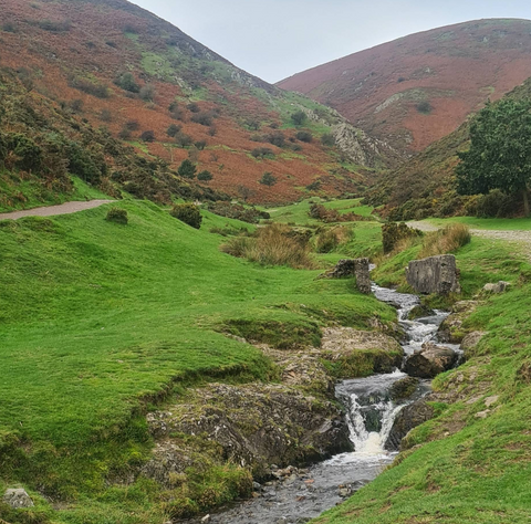 Carding Mill Valley and the Long Mynd