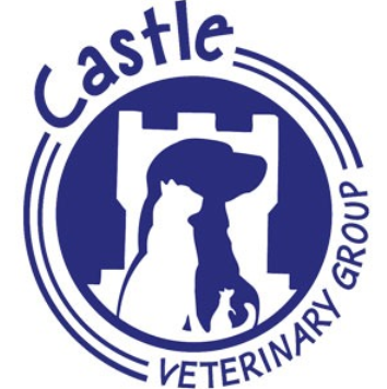 Castle Veterinary Group - Eye