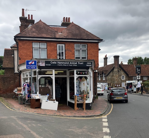 Celia Hammond Animal Trust