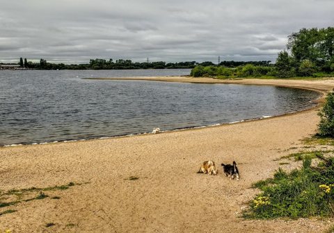 Chasewater Country Park
