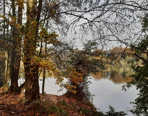 Colemere Country Park