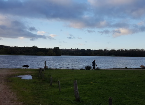 Colwick Country Park