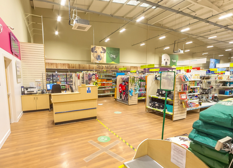 Companion Care Vets - Salisbury