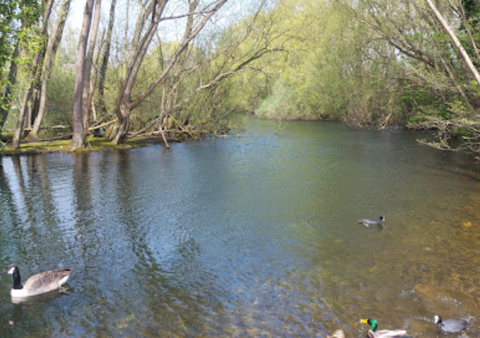 Colwick Country Park