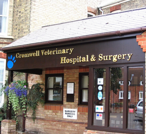 Cromwell Vets - Huntingdon