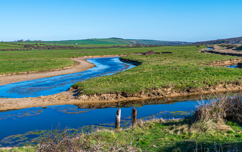 cuckmere haven
