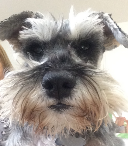 Daventry Veterinary Clinic - Daventry