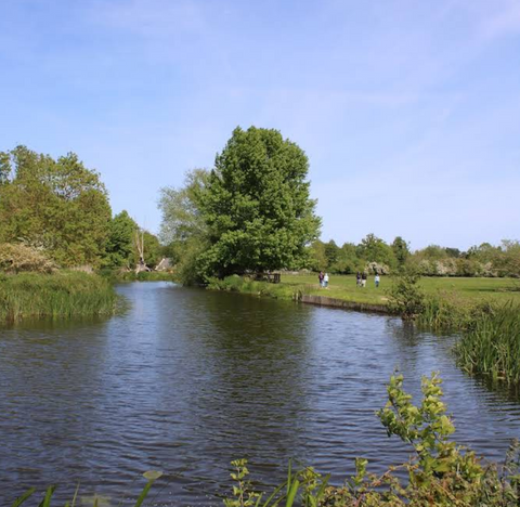 Dedham Vale – River Stour best place s to take my dog for a swim in essex