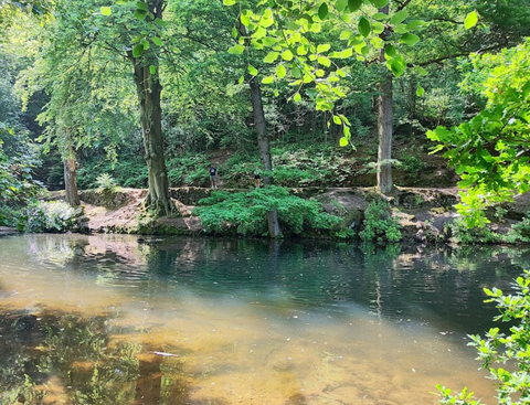 Dimmingsdale Valley and Furnace Forest Walks