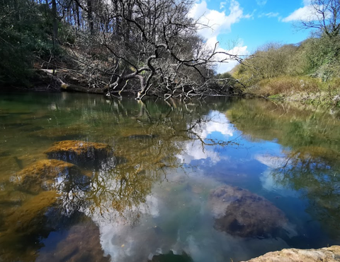 Dimmingsdale Valley and Furnace Forest Walks