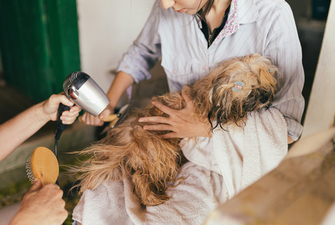 Bubbles & Bark Pet Spa