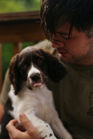 Dandini's Dog Grooming