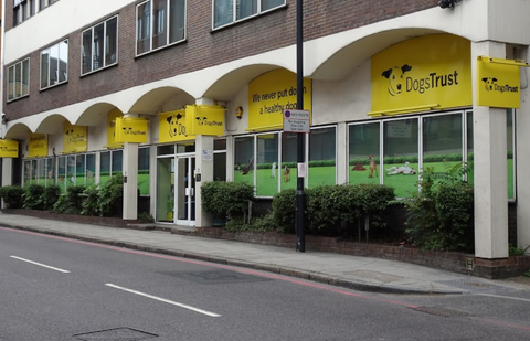 Dogs Trust London