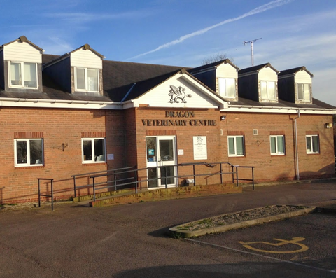 Dragon Vets - Cheltenham