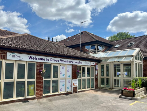 Drove Veterinary Hospital - Swindon