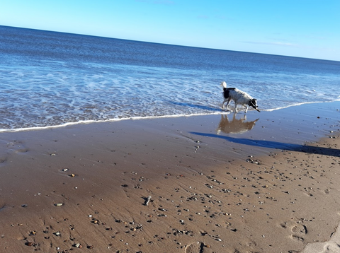 Druridge Bay Beach