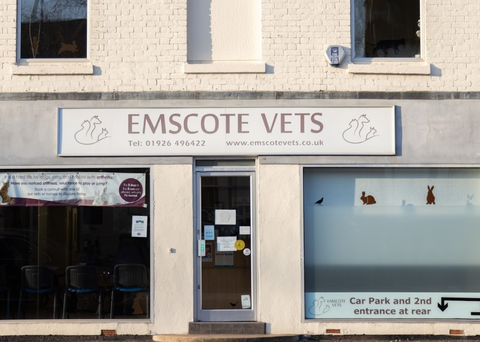 Emscote Vets - Warwick