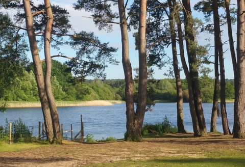 frensham great pond